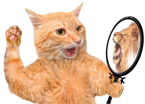 Op zoek naar afwisselende en uitdagende werkzaamheden, deelnemen aan vaklunches en trainingen én een fijn salaris? <a href="/elegalincasso/">e-Legal incasso advo</a>
zoekt een studerend juridisch medewerker. 👇

e-legal.nl/vacature-stude…

#Rotterdam #vacature #juridisch #legal #rechtenstudent #spon