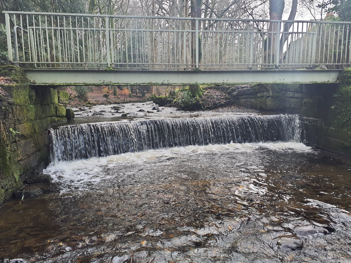 RiverCalder's tweet photo. 'Weir on a roll…' 

We have now visited and mapped over 270 #weirs across the catchment with many more yet to be surveyed!  This data will enable us to highlight future opportunities for river restoration.

#barrierremoval https://t.co/OpCjHJLpES