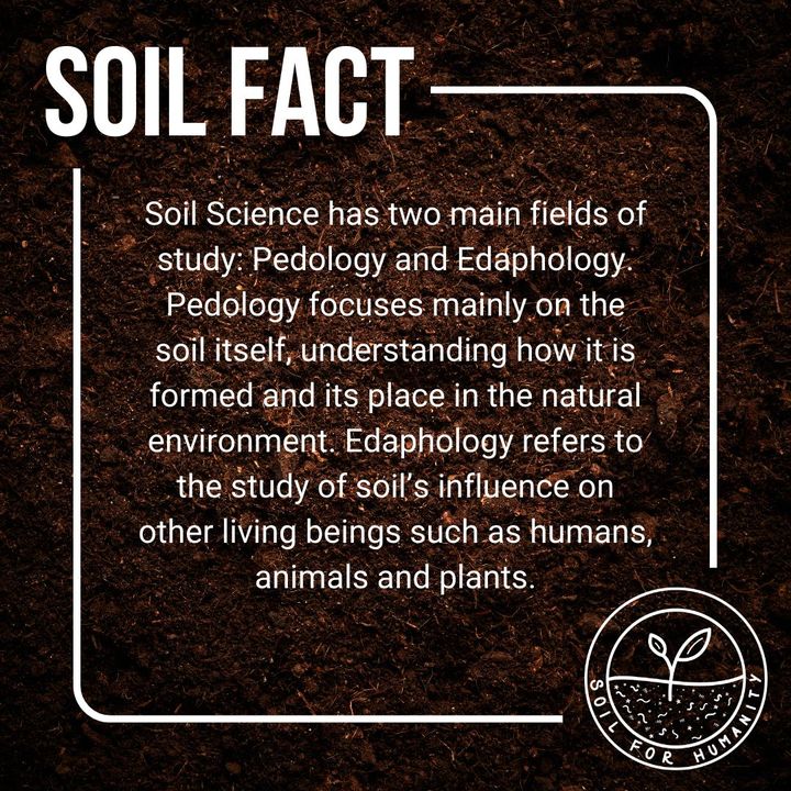 soilforhumanity's tweet photo. #DYK #SoilFact

Soil Science has two main fields of study: Pedology and Edaphology.

Read more about the History of Soil Science -> https://t.co/Y56QdyNv51

Follow along for more content on the vital importance of #SoilHealth! https://t.co/fSPJ65gu9l