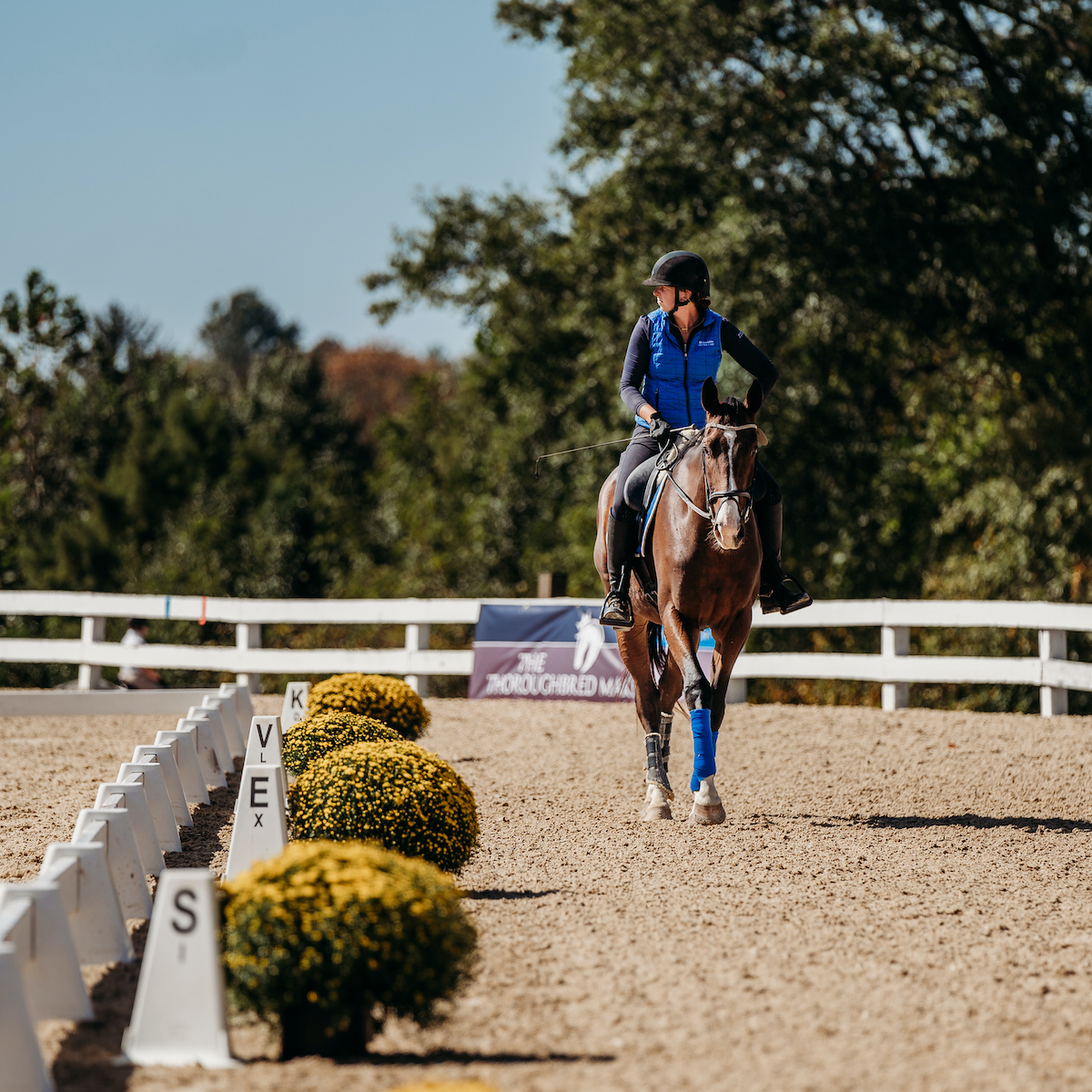 Want to contribute to the production of the 2024 #TBMakeover? Our Fund-a-Need campaign is open now, letting you directly support the event from $3 to $450! A perfect way for racing stables or individuals to support the biggest movement in aftercare: bit.ly/3PveNCw