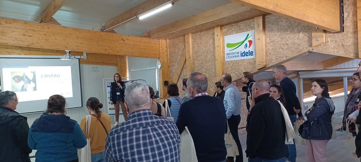 InstitutElevage's tweet image. 🔴 Inauguration du #CIRVEAU | Visite en cours
Autour de différentes thématiques :
✅ La formation
✅ Environnement
✅ Société &amp;amp; bien-être animal
✅ Recherches et prestations
+ Temps libre autour des ateliers : plateforme fourragère, réseau #Inosys veaux de boucherie, numérique...
