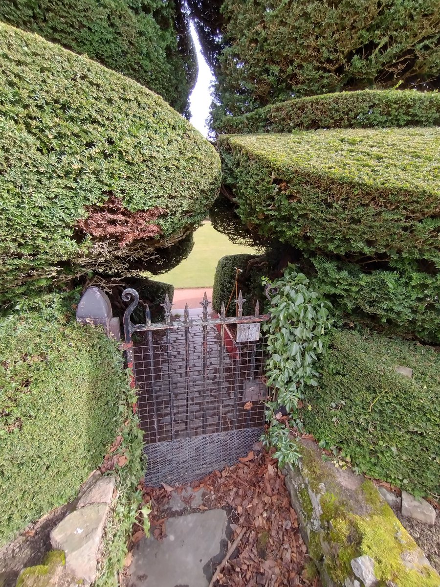 Douglas Campbell tweet media