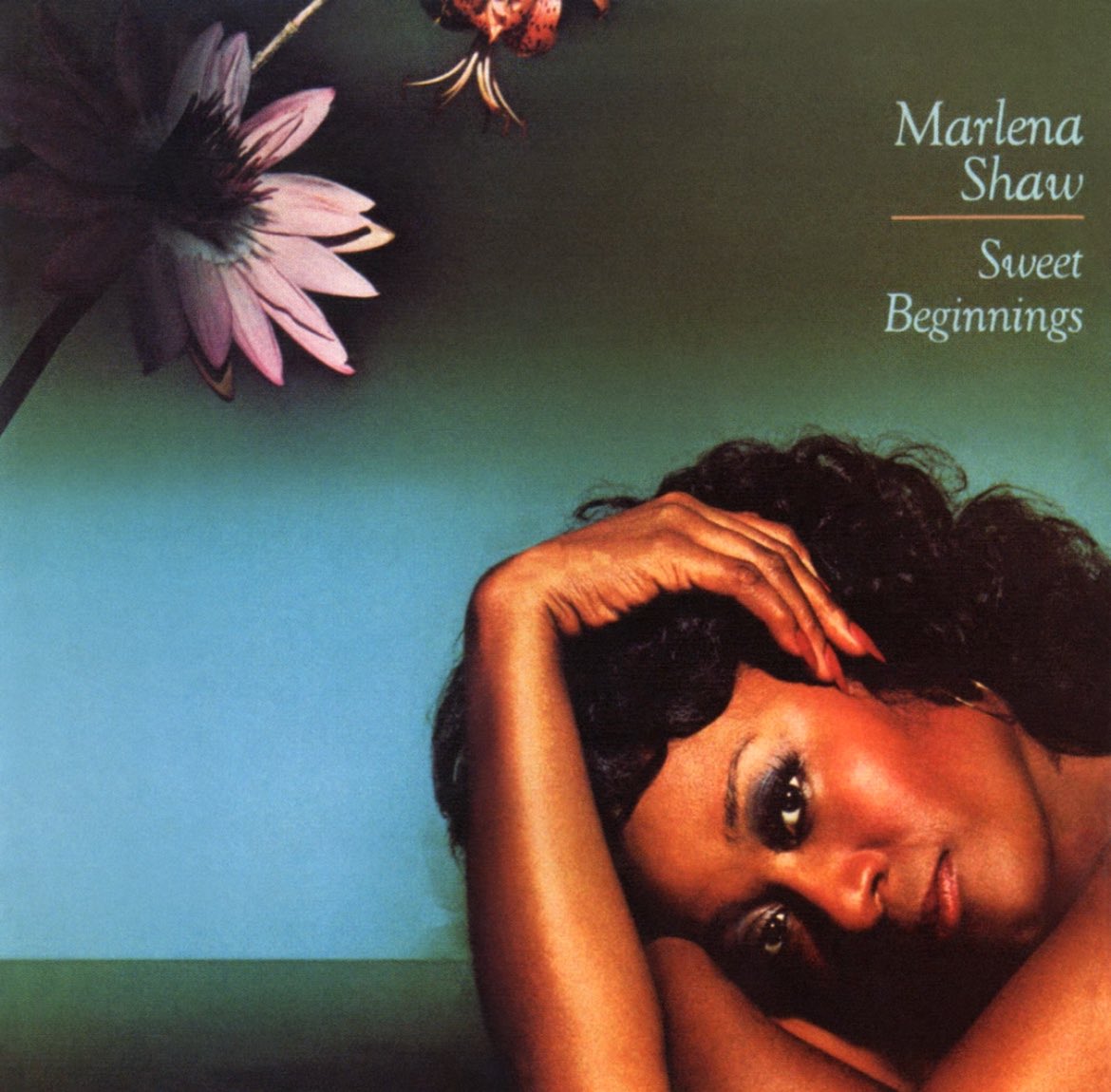 TheGeniusParty's tweet photo. It’s Thursday, and you know what that means. We have the Sample Of The Day🎶🎶.

#SampleOfTheDay: Marlena Shaw - Walk Softly

#thegeniusparty #getyoursampleflipon 

https://t.co/61H0m6A27M https://t.co/6V6WH8jk7x