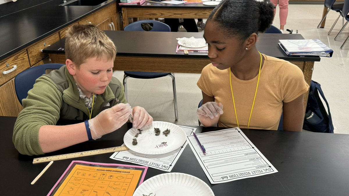 oakhillslions's tweet photo. Oak Hills 7th Grade Science students examined owl pellets to discover that they contain regurgitated fur, feathers, and bones of the small prey they eat. Using a bone chart, the students were able to identify the various animals the owls had eaten. #LionsLearning #sciencelab https://t.co/JOGA0GdfWP
