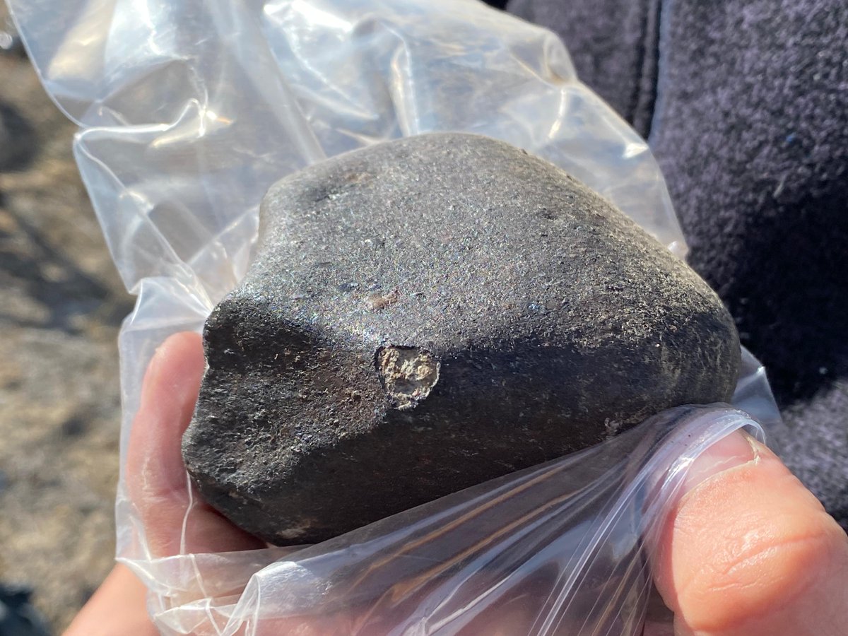 FireballsNZ's tweet image. Close-up views of New Zealand's latest #meteorite - found by a search party today after falling last Wednesday 13th.