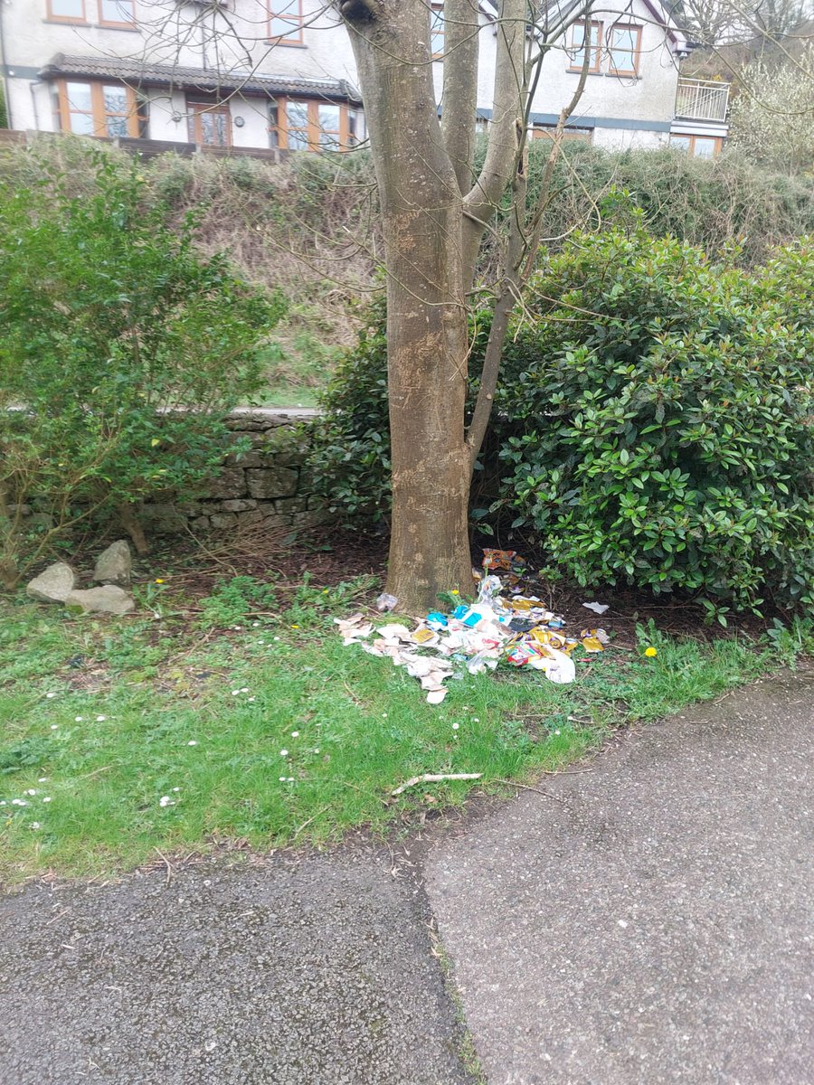 deirdreforde's tweet photo. Who is the moronic person/s who dumped this at entrance to #Hopisland car park 😡 https://t.co/TIDAR8ucXy