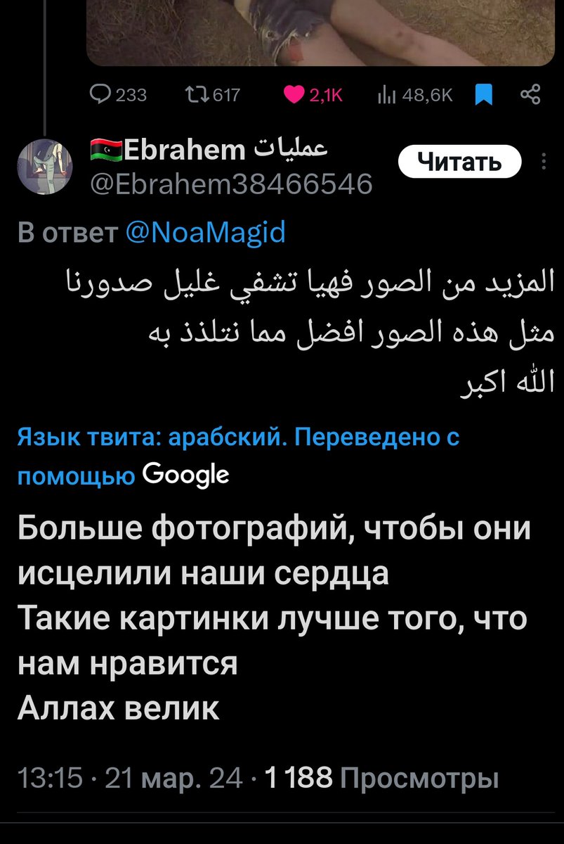 VivernW's tweet image. Просто чтобы вы понимали, с кем мы имеем дело. В свободное время я перехожу по ответам на арабском и использую на них авто переводчик. Наслаждайтесь.