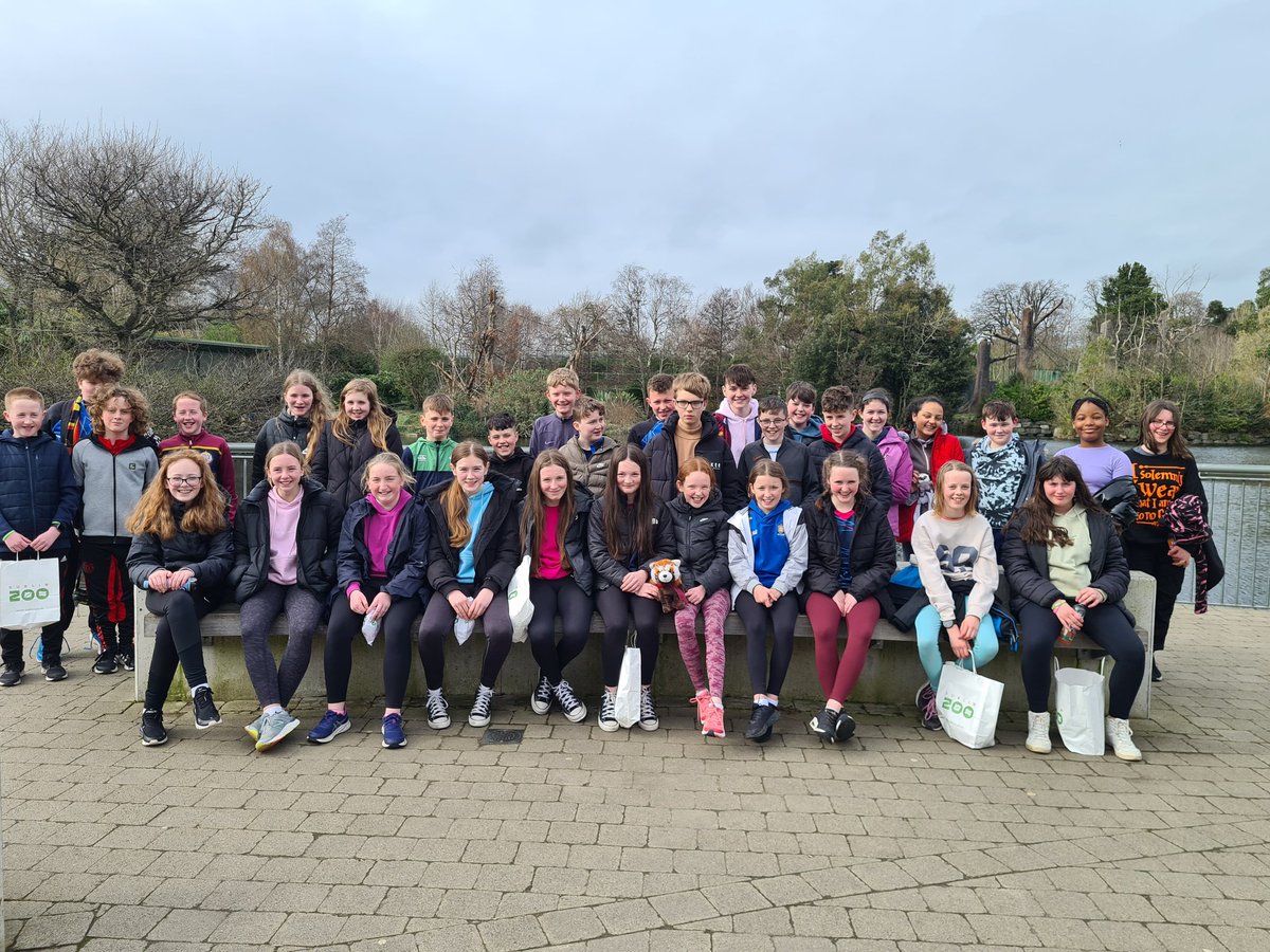 TullaNS's tweet photo. 6th class and their adopted red panda Rua from when they were in 3rd Class visited Red Panda Habitat in Dublin Zoo @DublinZoo https://t.co/6i85MgzdmV