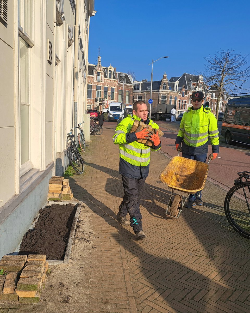 GemeenteDelft's tweet photo. Het NK Tegelwippen is begonnen🌿 In Hof van Delft zijn ze al begonnen😃 Werkse hielp hier met het vervangen van tegels door groene geveltuintjes. 🌸

Doe mee en lever je tegels in, of laat ze ophalen. Je krijgt er dan gratis plantjes voor terug. 🪴  ➡️ https://t.co/zrMtxRur2W https://t.co/WzfbgFVe6D