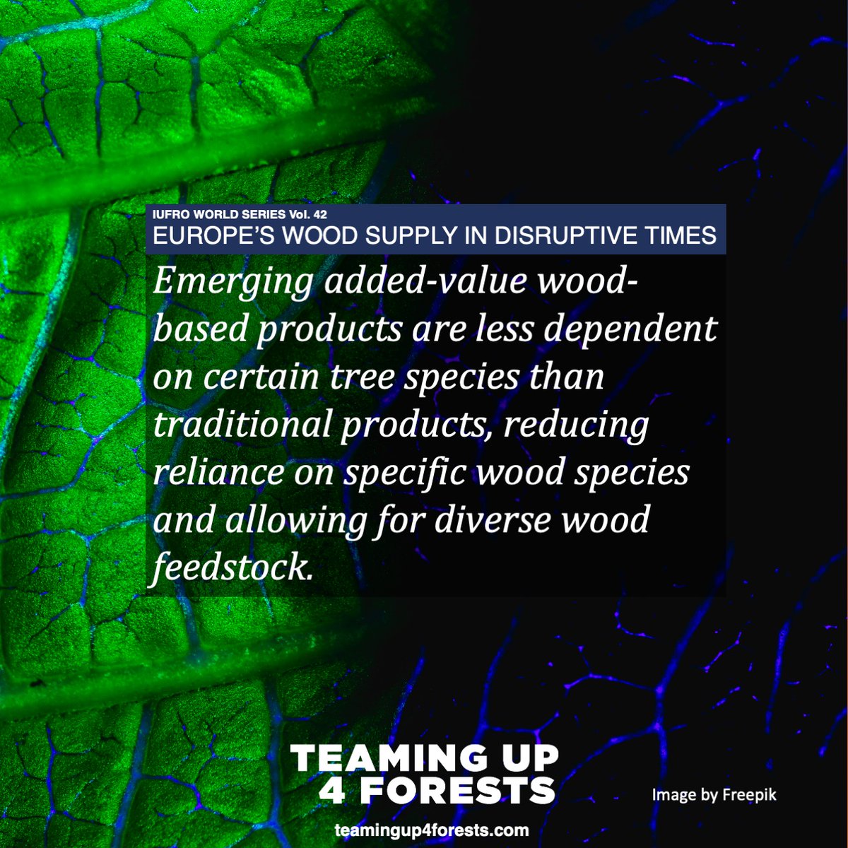 Forests + Innovation = climate-smart future There are over 60,000 different species of trees 🌳 🌿🌴on 🌍 . This #IntlForestDay, learn how they may be the key to emerging added-value wood-based products. 💚 iufro.org/publications/s…