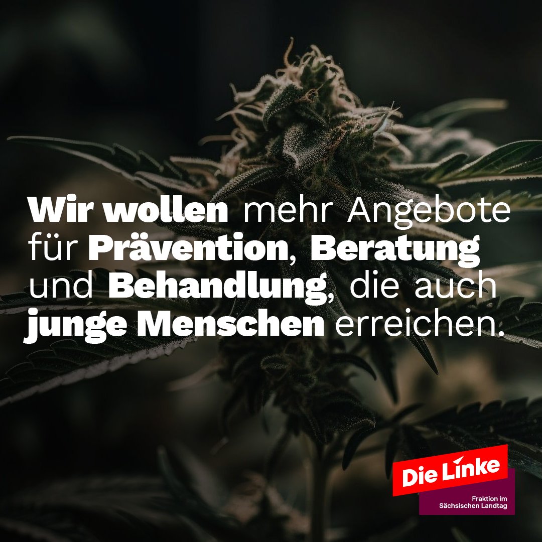 Die #CDU hat heute im #saxlt Stimmung gegen die #Cannabis-Legalisierung gemacht. Ihre Doppelmoral ist offensichtlich, die Verbotspolitik gescheitert: Sie hat nichts an der Verfügbarkeit von #Cannabis geändert, aber riskanten Konsum und den Schwarzmarkt befördert.