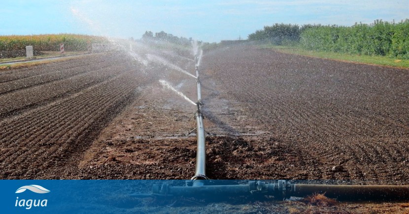 La Generalitat Valenciana actualiza las ayudas para inversiones en modernización de regadíos dlvr.it/T4Pjf7