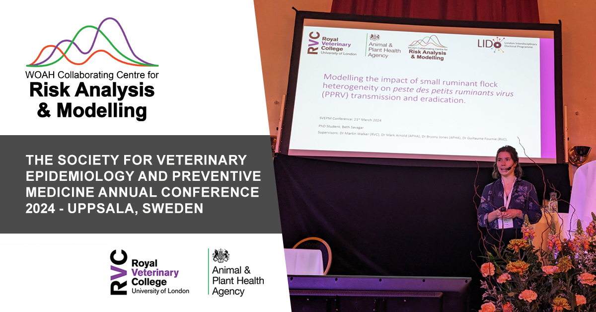 🇸🇪 Beth Savagar gave a presentation today at #SVEPM2024 on ‘Modelling the impact of heterogeneity in small ruminant populations on peste des petits ruminants virus (PPRV) transmission and the effectiveness of vaccination for eradication’. #WOAHCCRAM @APHAgovuk @RoyalVetCollege