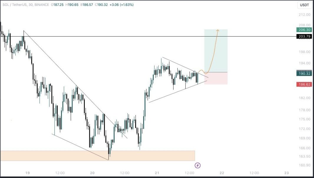 Dam_Crypto1's tweet photo. $SOL one more leg 🙏 https://t.co/q9IapUsGw7