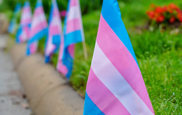 Today we recognize Transgender Day of Visibility, a day to bring awareness to the transgender community, and celebrate the lives and contributions of transgender people.