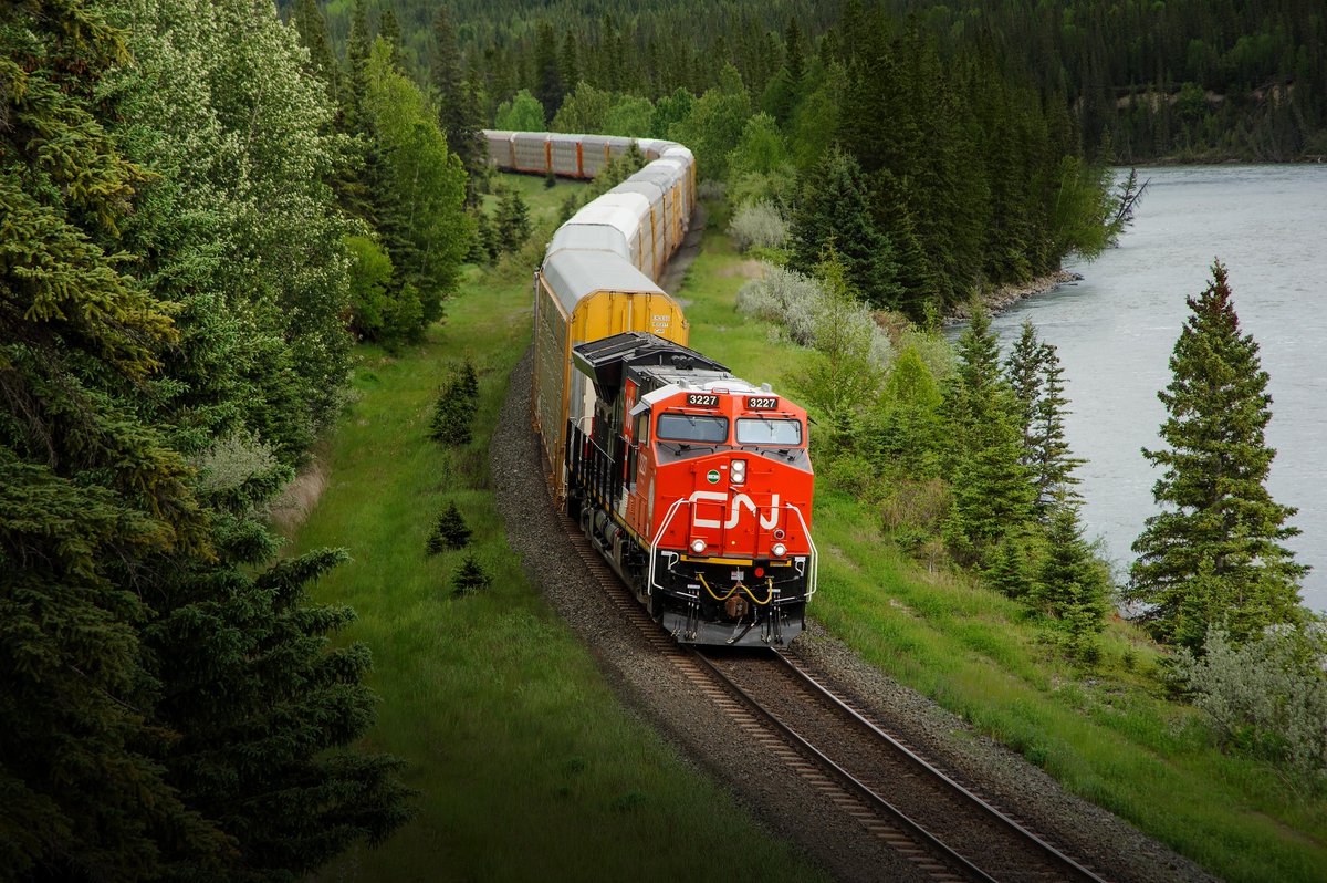 Trees play a critical role in supporting biodiversity and combating climate change while connecting us to nature. Since 2012, CN has planted over 2.4 million trees along our network to create a living legacy of sustainability for future generations. 
#IntlForestDay