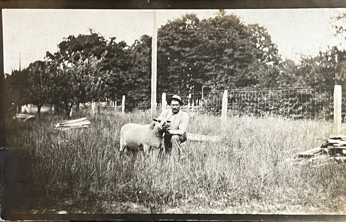 GoodPostcards's tweet photo. Guess you know this. Had a letter from Walter yesterday. Wish you a happy birthday.

Hope all are well. In a hurry

Maud &amp; Walter

[1913] https://t.co/Q3JWXwrOVD