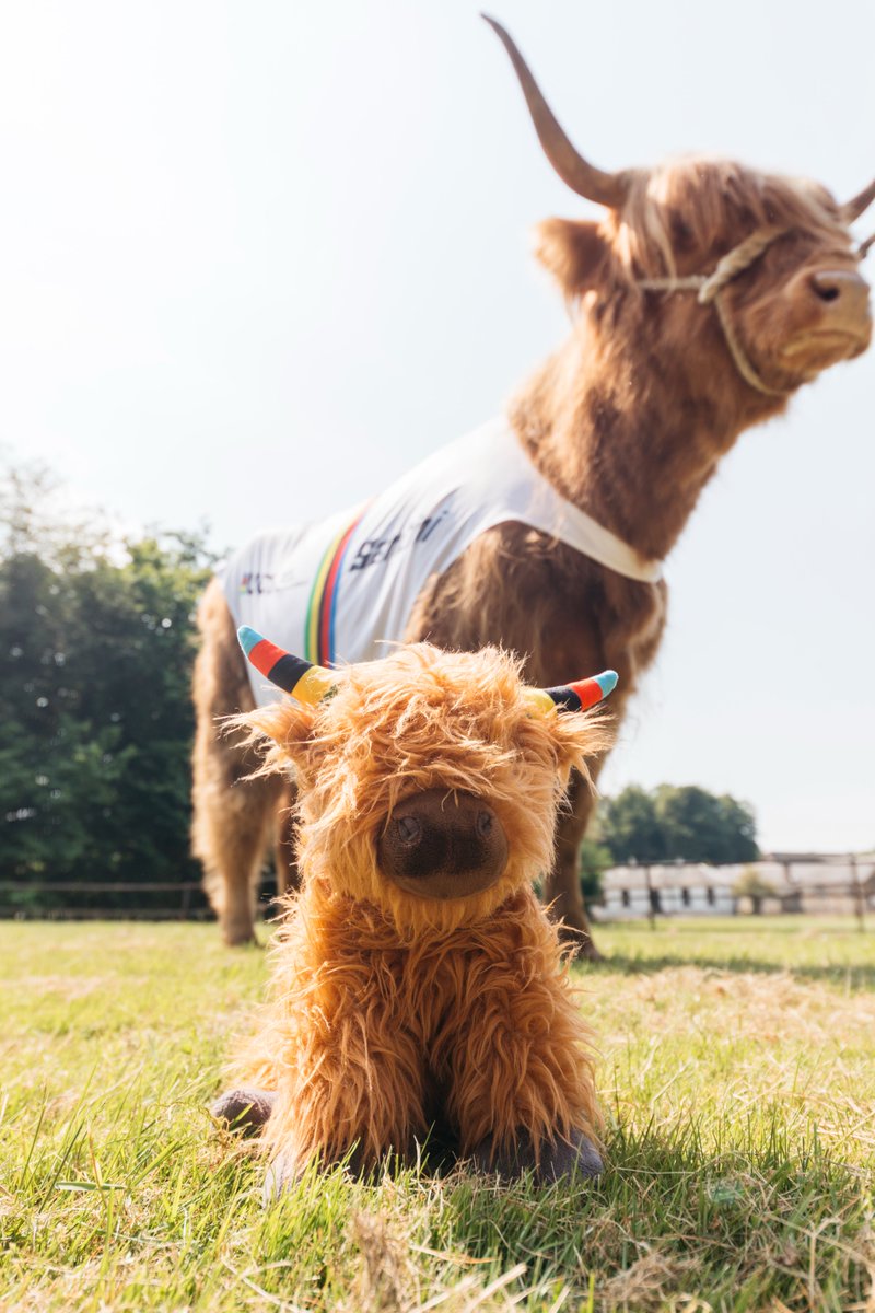 📢Last chance to get your very own Champs Coo 🐮 at 25% off! Great discounts still available on 2023 UCI Cycling Worlds merch before the shop closes at the end of March.🚴🌈 Shop now at 👉 shop.cyclingworldchamps.com