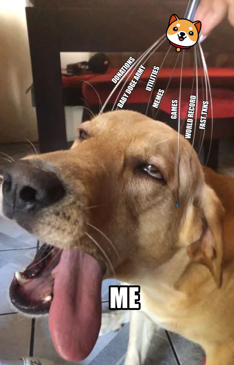 Baby Doge tweet media