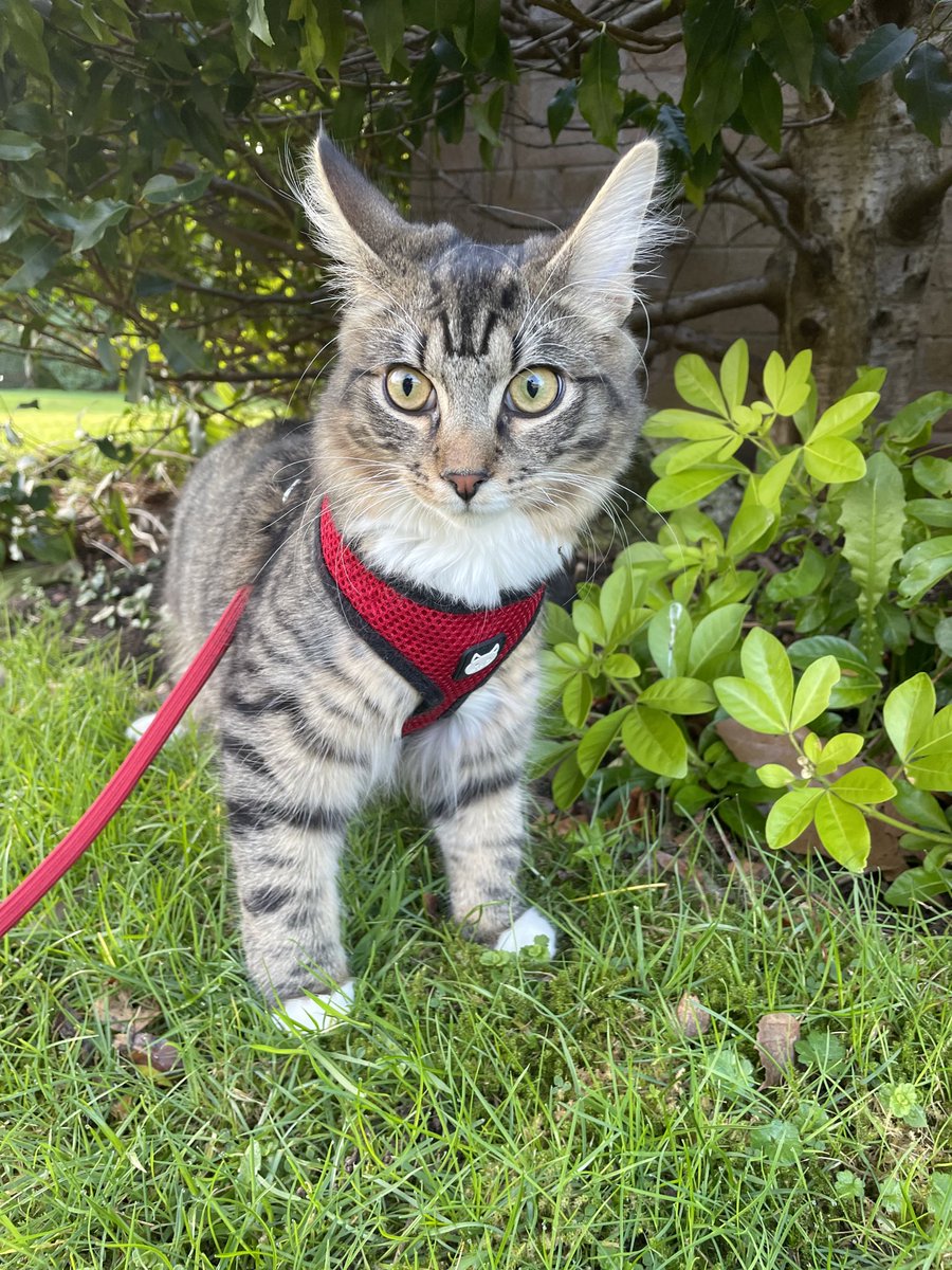 My first time venturing out in the garden! What a wild adventure that was. #throwbackthursday