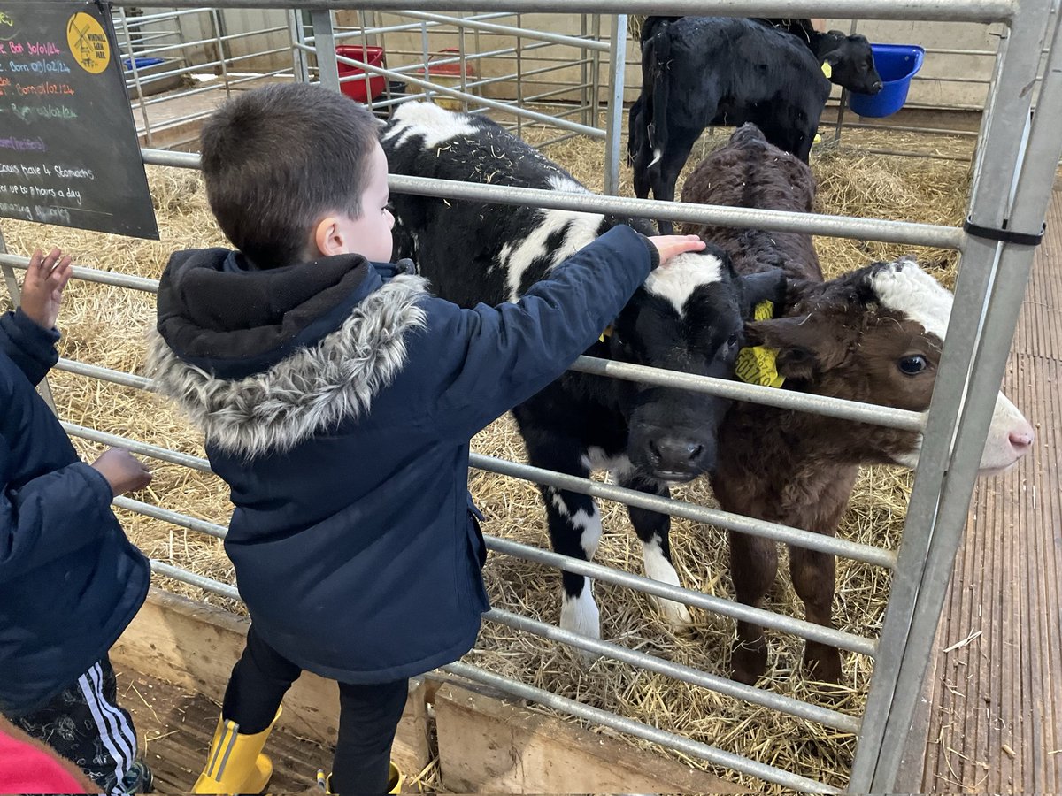 Another smashing visit with Reception to #WindmillFarmPark at Kibworth. So much fun learning about farm animals, and lots of baby cuddles! @kestrelmead #KestrelEYFS #OutdoorLearning