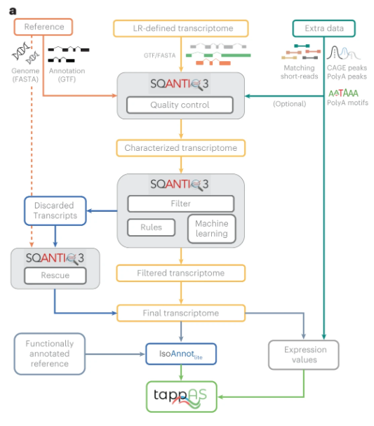 SQANTI3 is the latest version of the SQANTI tool, offering a flexible approach for quality control, curation, and annotation of long-read RNA sequencing derived transcriptomes. @anaconesa @ConesaLab nature.com/articles/s4159…
