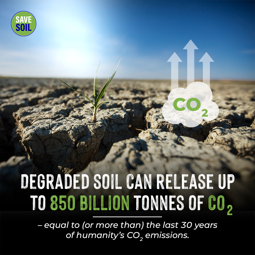 cpsavesoil's tweet photo. Did you know that degraded soil can release up to 850 billion tons of CO2, which is equal to or more than the last 30 years of humanity’s CO2 emissions? On the other hand, rich soil can capture more carbon than plants and the atmosphere combined.
Action Now: https://t.co/ljPXAiXw95
#Letter4Soil