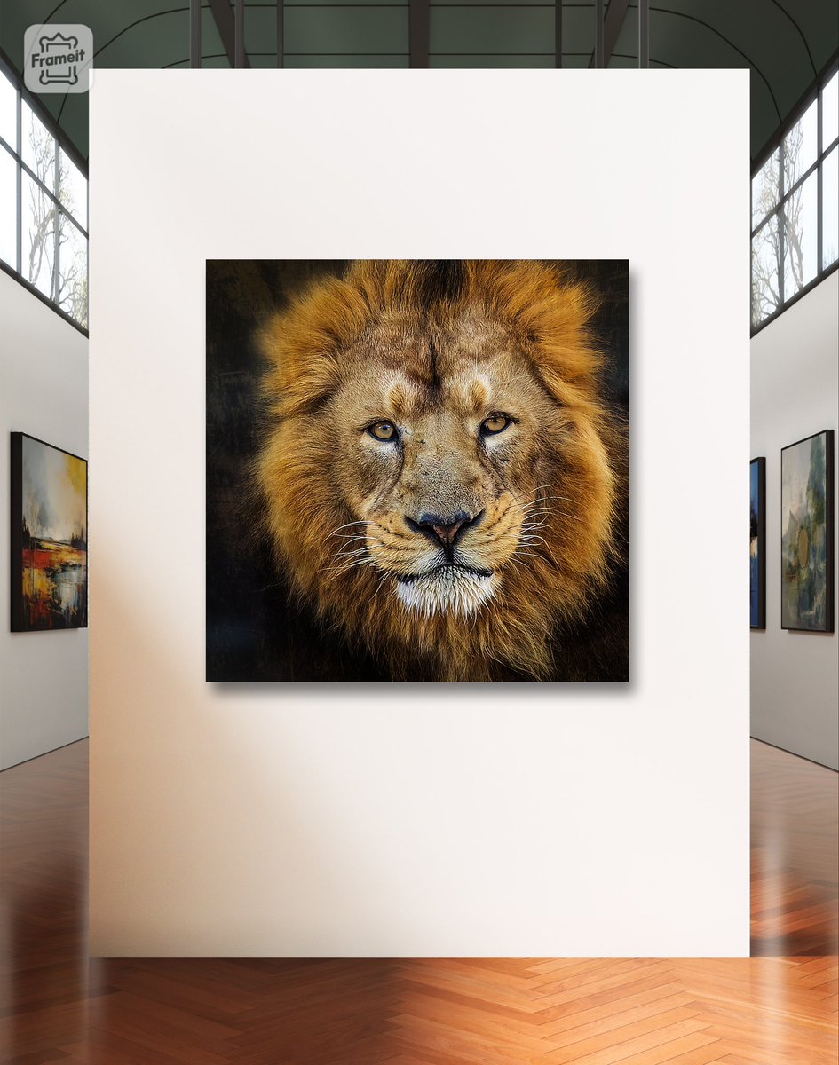 FotiniScherer's tweet photo. Lion King https://t.co/UOA8CwnL7V