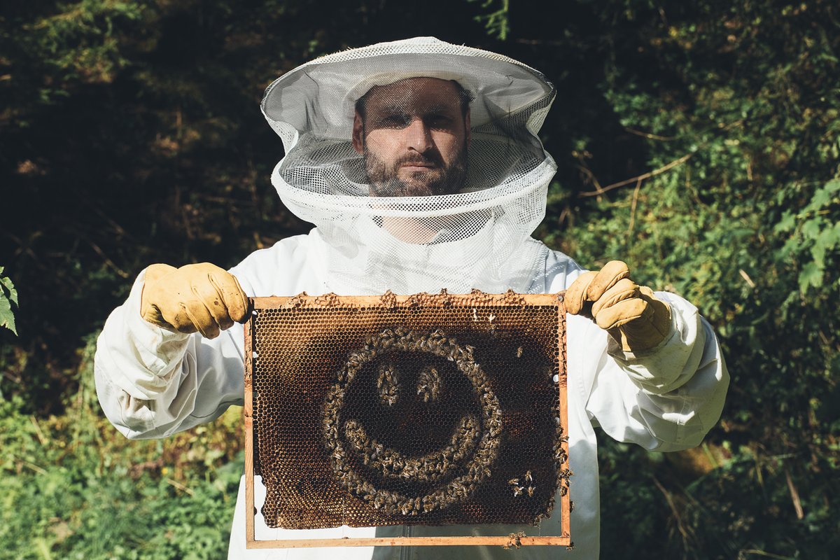 hi! new album is done. "live is my hobby" will be out later this year. you can listen to the first single "ella" right here: b-visible.fanlink.tv/ella