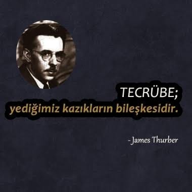 #tecrübe #kazık #jamesthurber