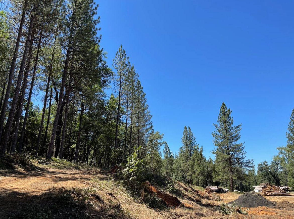 @eqtec has started basic engineering work for Blue Mountain Electric Company (BMEC) of Wilseyville, California, USA, providing its advanced #syngas capabilities & patented, proprietary hardware & software at a 3MWe plant to transform local forest waste into electricity & #biochar