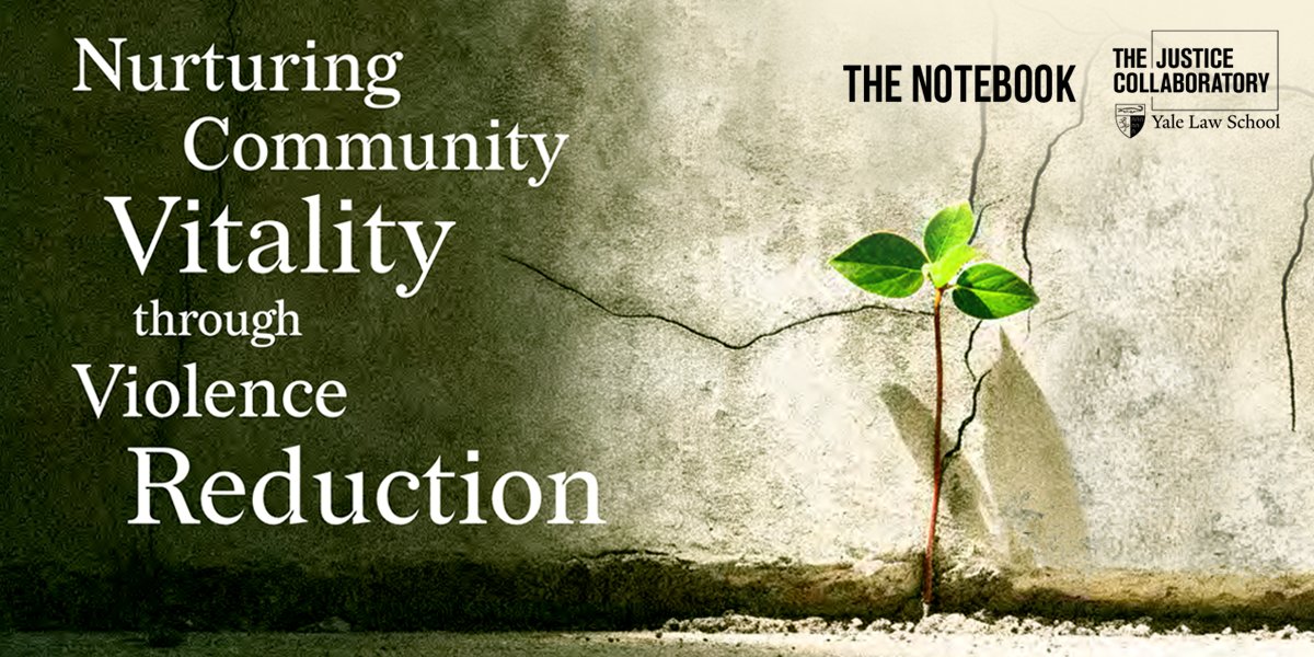 Gun violence is one of the most toxic threats to community vitality. Oakland and Stockton, CA offer lessons on how local violence reduction efforts require a process of organizational change, management, and governance at the city level. Read more: bit.ly/43rxXyM