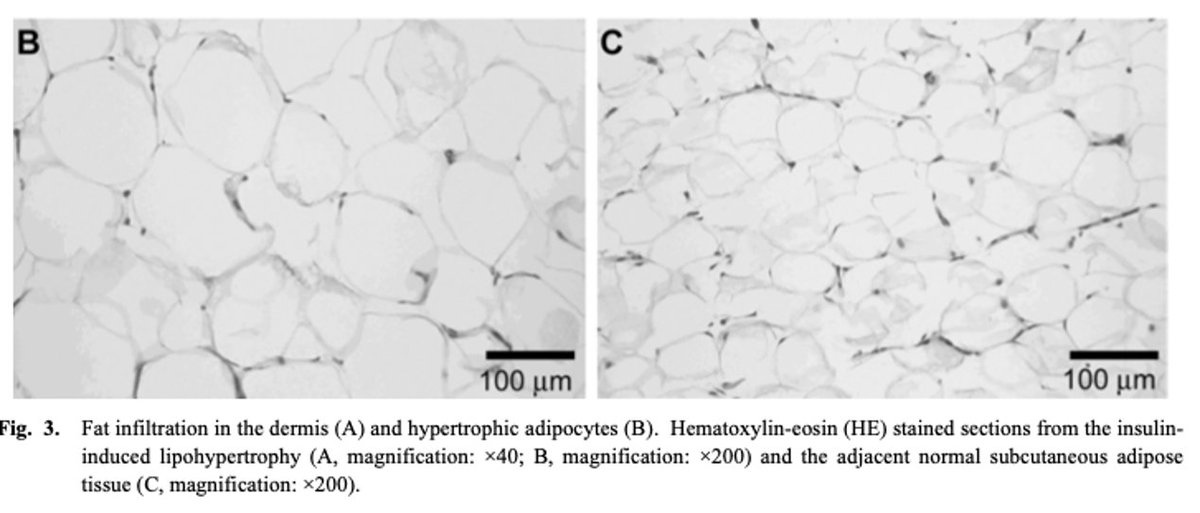 Benjamin Bikman tweet media