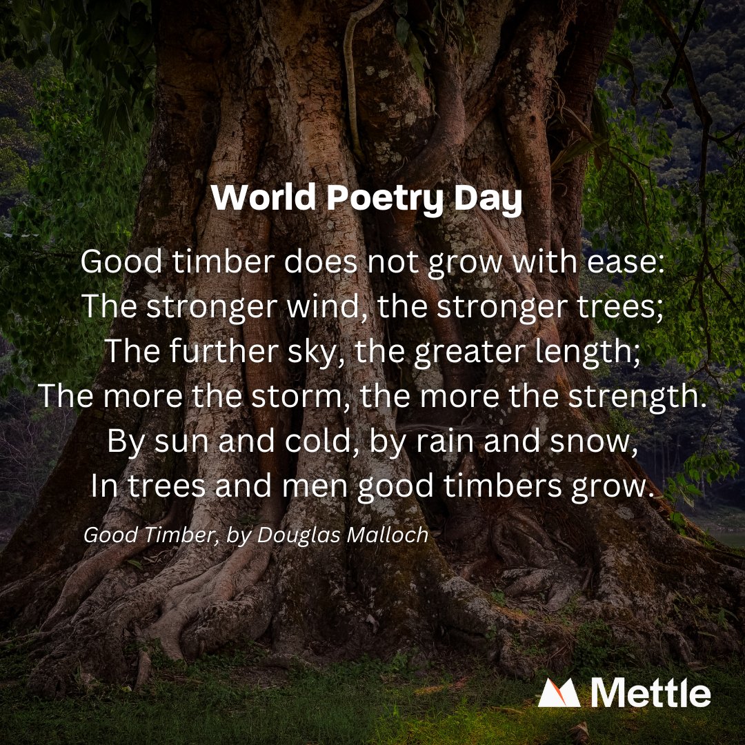 Happy World Poetry Day.

Creativity gives us an outlet to express ourselves, getting everything out of our heads and into the open linktr.ee/mettleapp.

#worldpoetryday #mentalhealth #mensmentalhealth #mentalfitness #mentalwellness #mentalwellbeing #mindhacking #hypnosis