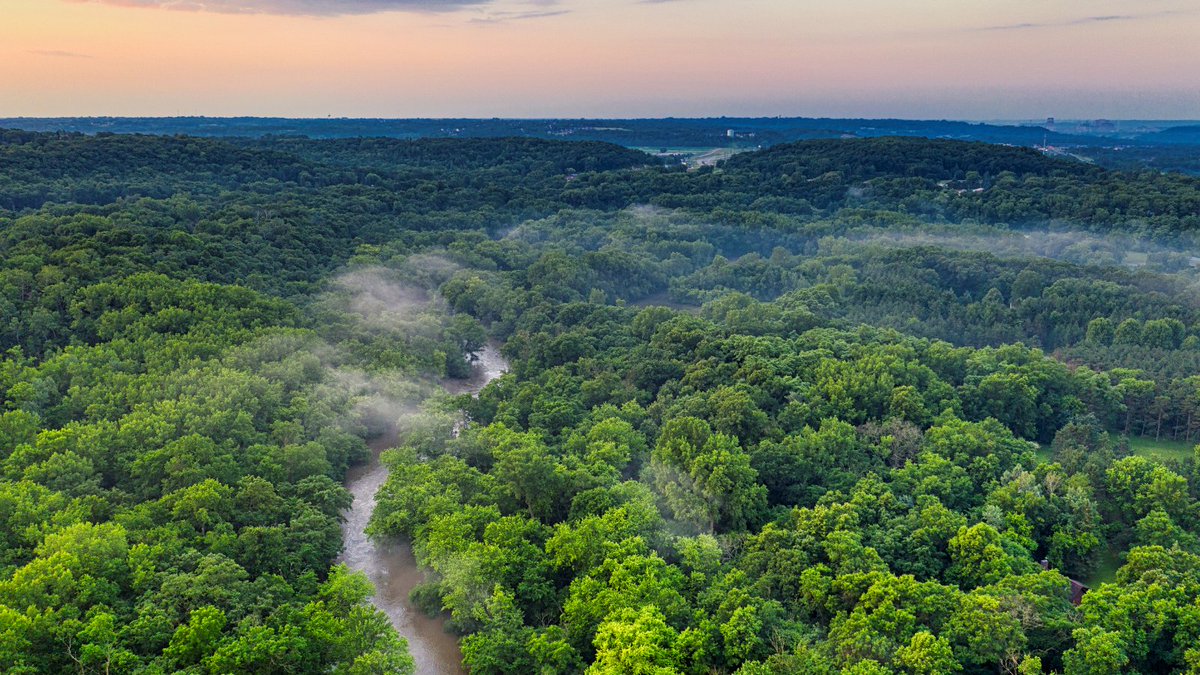 🌲🌎 Happy Forest Day! 🌍🌲 Today, we stand at the frontiers of resilience, recognizing our forests as vital, living libraries of #biodiversity. As we celebrate these guardians of the Earth, let us renew our commitment to protect, restore, and manage them wisely. Together, we