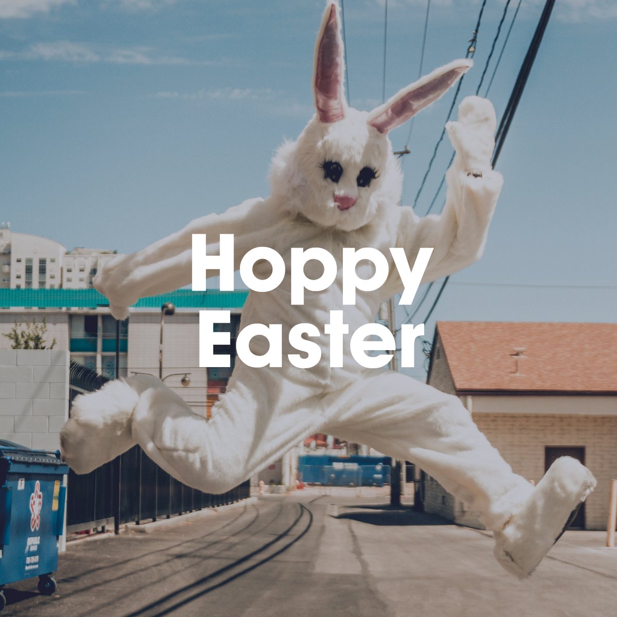 Happy Easter from the Confetti Team 🐰