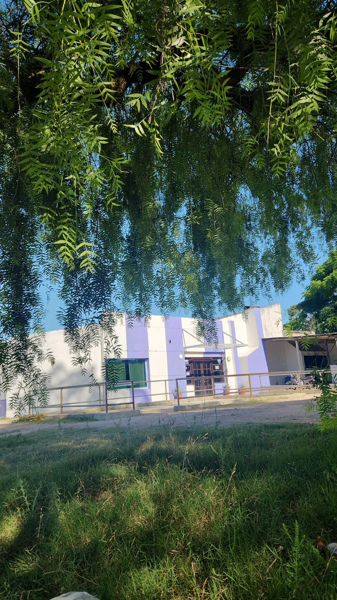 FernandeNacho's tweet photo. …cortando el pasto, pintando la sede y eso lo hicimos nosotros los jugadores en conjunto con el cuerpo técnico. 
Hoy no nos sentimos respaldados por quien interviene ya q todo carece de transparencia y neutralidad. 3/3

Nosotros hablamos con pruebas

@emekavoces @rodrigosilvagdp https://t.co/xId1wbR3gv