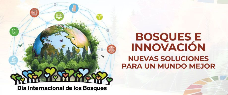 #ForestDay #IntlForestDay Día Internacional del Bosques 🌳: Bosques e Innovación: nuevas soluciones para un mundo mejor.
#RECOFALC
