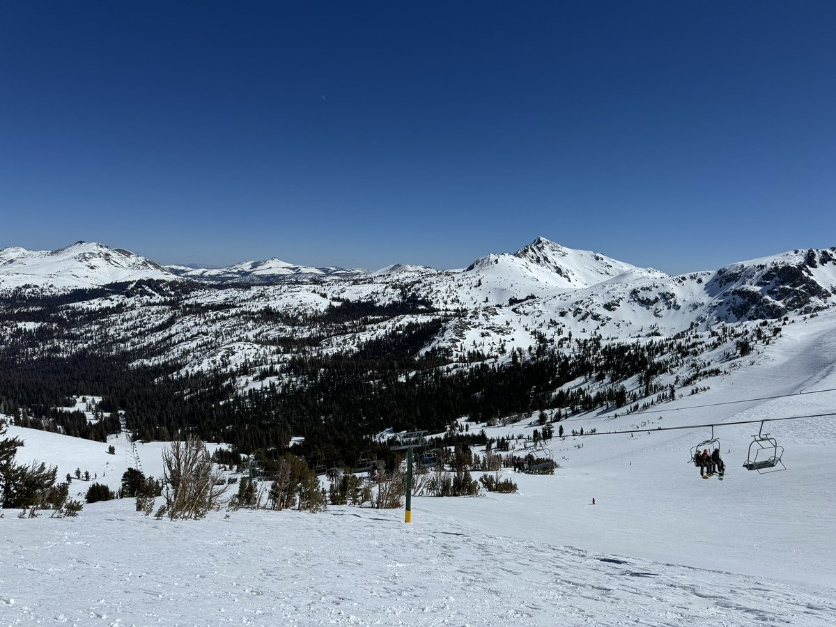 holodeckholding's tweet image. Gm 🏔️