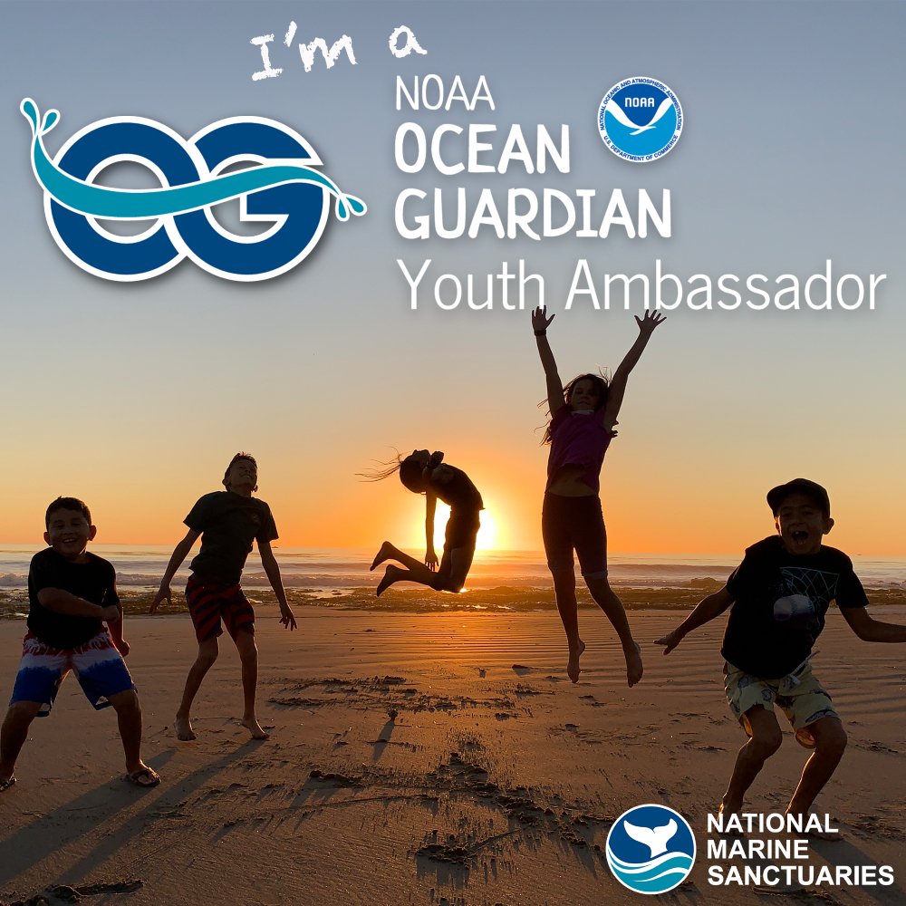 #NEW: 250 NOAA Ocean Guardian Youth Ambassadors across 28 states completed 50 projects, reached roughly 4,000 individuals, removed over 500 pounds of trash, and raised over $1,000 for conservation organizations. sanctuaries.noaa.gov/news/mar24/noa…