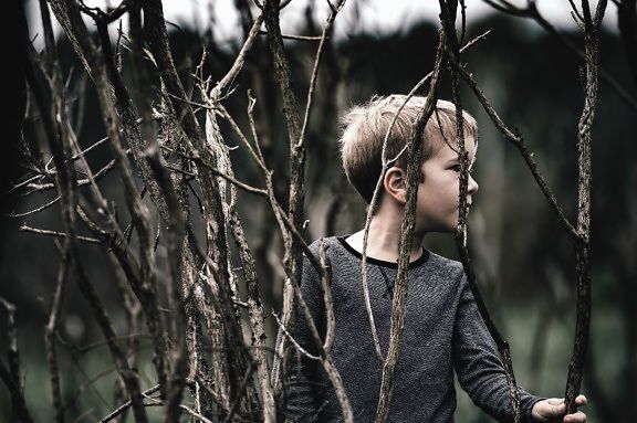 Outdoor play offers numerous benefits for children, including boosting their intelligence, enhancing social skills, improving health, and increasing happiness. Unstructured play in nature is particularly beneficial for kids. #OutdoorPlay #ChildDevelopment