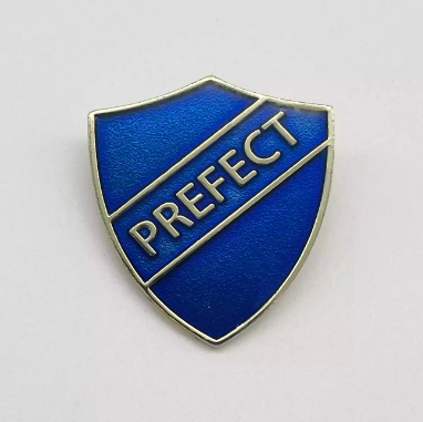We are looking for S3 pupils to apply for the role of S3 prefect to support the school while our senior pupils are on exam leave. Application forms can be found on the S3 Google Classroom and should be submitted by Wednesday the 27th of March.