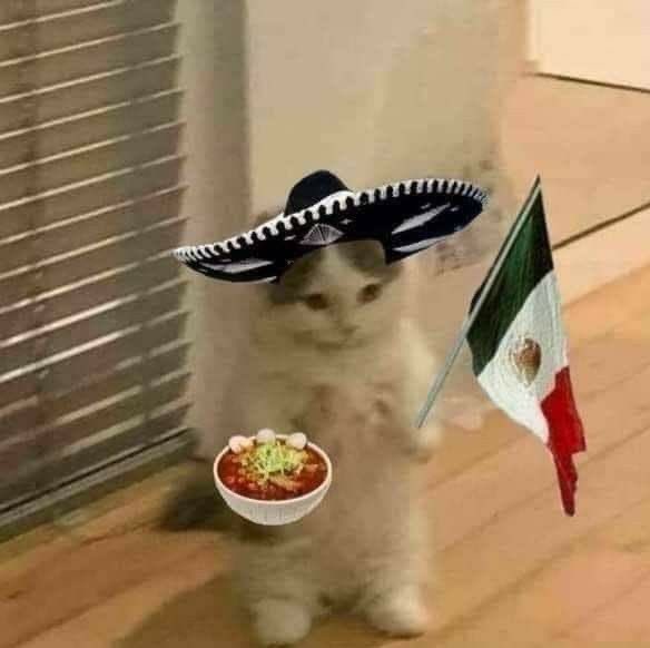 fcmareee's tweet photo. buenos días @miseleccionmx no la cagues https://t.co/cRrF07OeNV