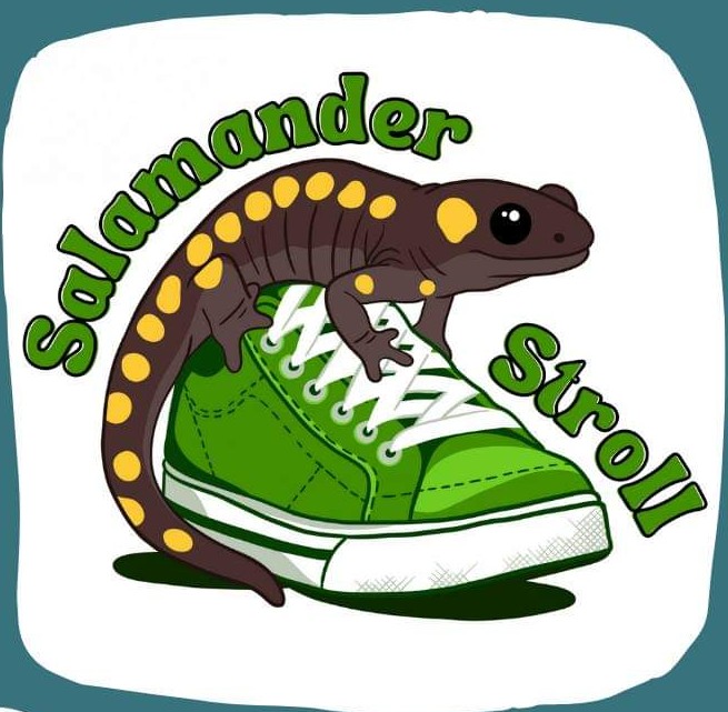 Who else is registering for the virtual 5k #SalamanderStroll ? I may be moving at salamander speeds 🤣 fcsal.org/salamander-sat… 

Really cute swag with logo by @hollymaedesigns
