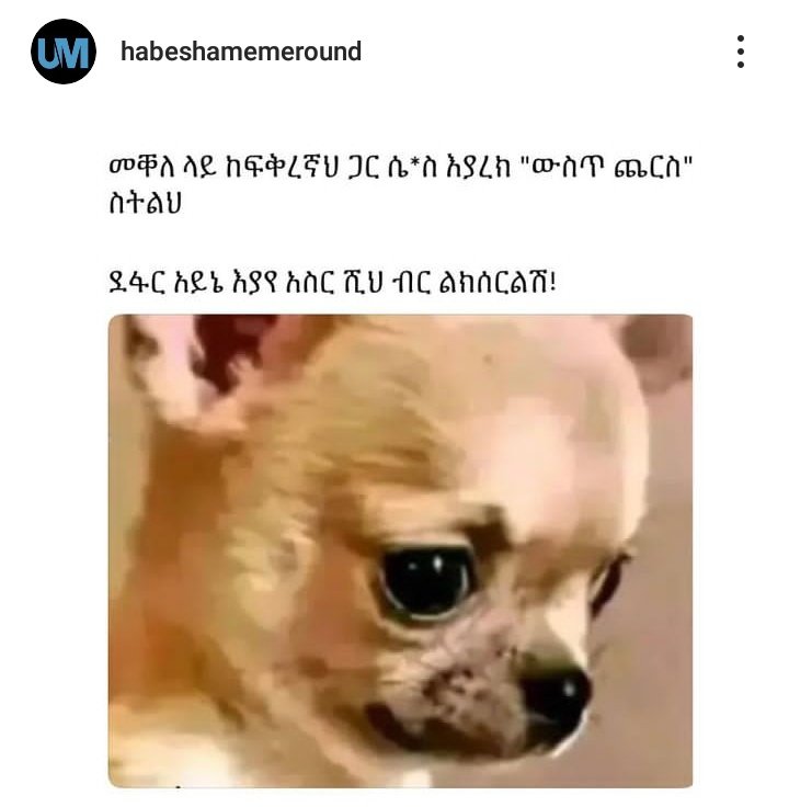 ለምለም🌿 (@lemlemit) on Twitter photo 