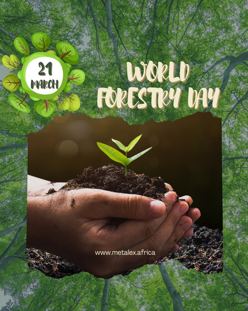 Harvesting Resources, Planting Possibilities - Committed to a Greener Tomorrow on World Forestry Day.🌲🌍

#worldforestryday #march21 #forestday