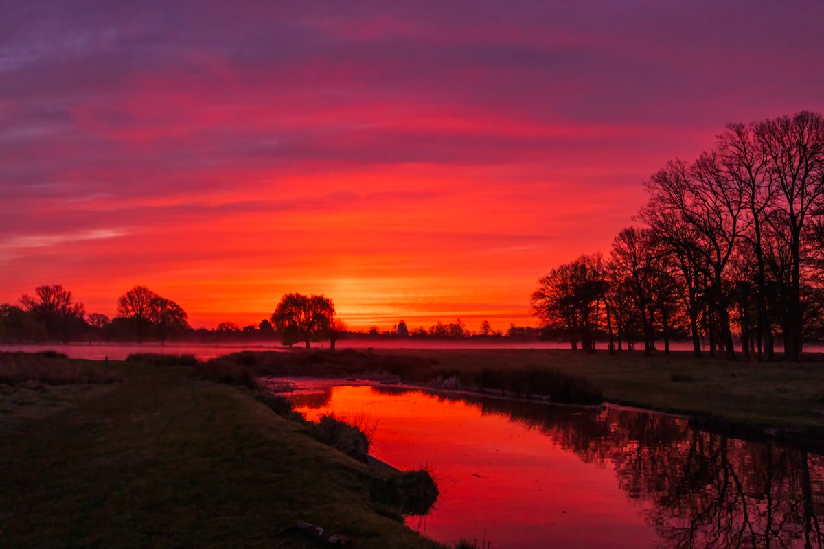 Red sky in the morning - a wonderful sunrise over Leg of Mutton Pond - sadly no swans or Heron this morning #BushyPark 21.03.24 @theroyalparks @TWmagazines @Teddington_Town @TeddingtonNub @Visit_Richmond1 @WildLondon @SallyWeather @itvlondon