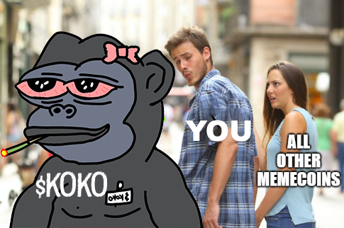 HANABIKO KOKO tweet media