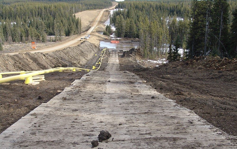 A lot of customers ask about the differences in wooden bog mat species, specifically  strength and longevity. Our latest blog article answers all.......

#bogmats #woodenbogmats #trackway #temporaryroadway #mattingtheworld

buff.ly/49aBClH