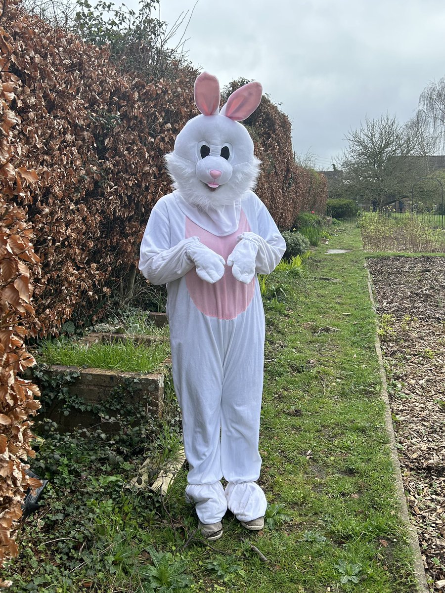 SPOTTED! The Easter Bunny is at William Morris today. They are helping pupils complete our Easter trail, with a chocolate egg treat at the end! 🐰